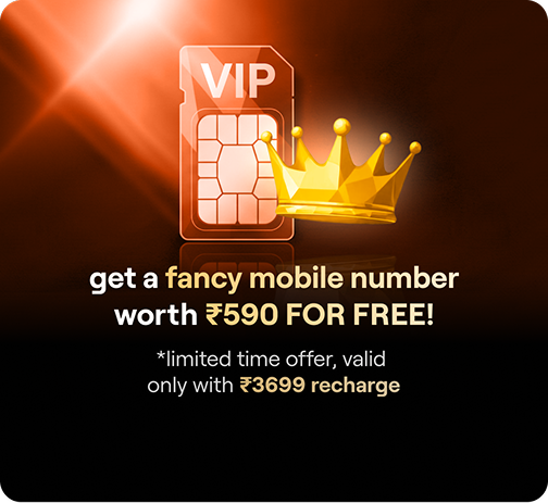 VIP Offer