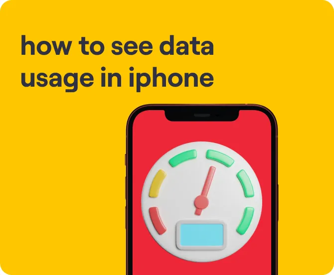 How To See Data Usage in iPhone