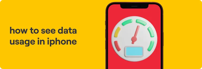 How To See Data Usage in iPhone