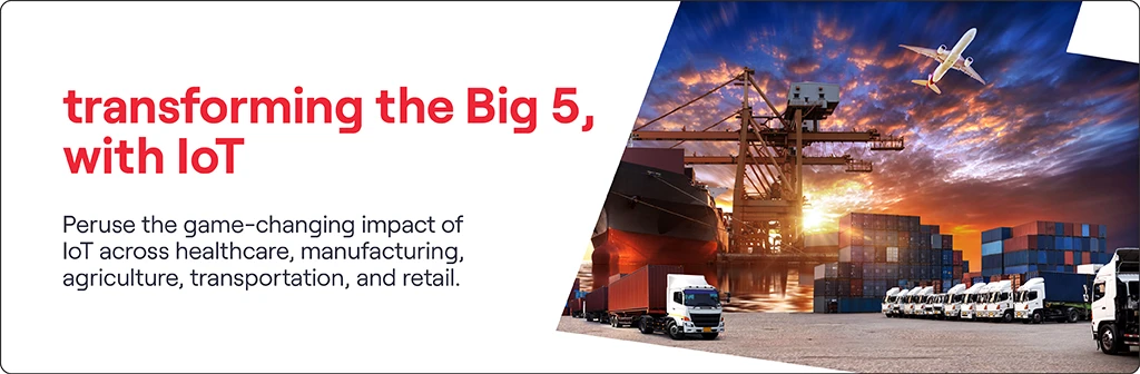 Transforming the Big 5 With IoT