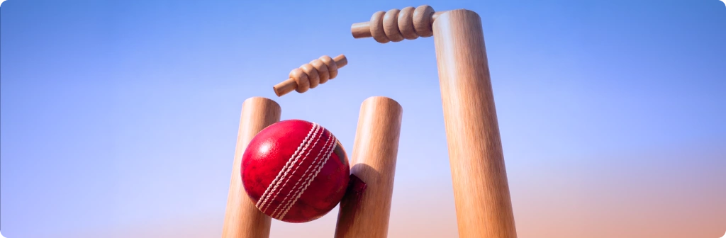 Top 10 Wicket Takers in the History of IPL